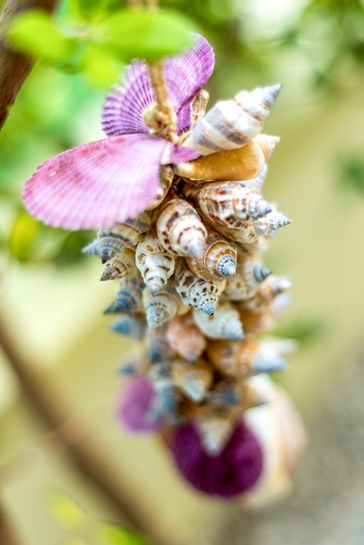 קאטו דרטסו Chryssi Myhome מראה חיצוני תמונה