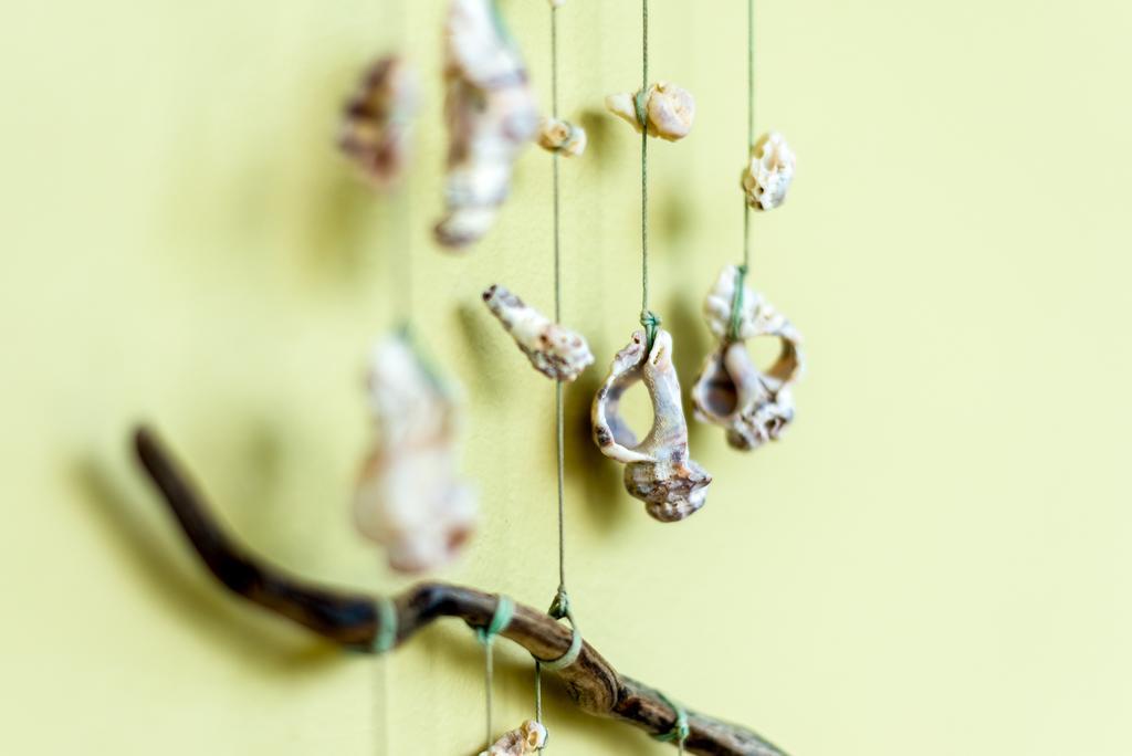 קאטו דרטסו Chryssi Myhome מראה חיצוני תמונה